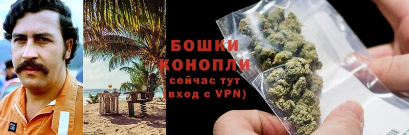 где найти   Лангепас  МАРИХУАНА White Widow 